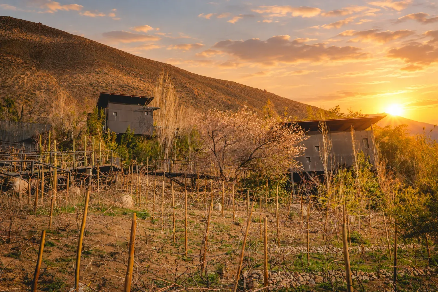 Amanecer en Horcón, Valle del Elqui