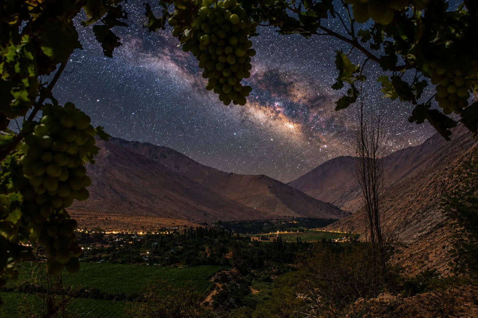 Vía Láctea sobre los viñedos del Valle del Elqui
